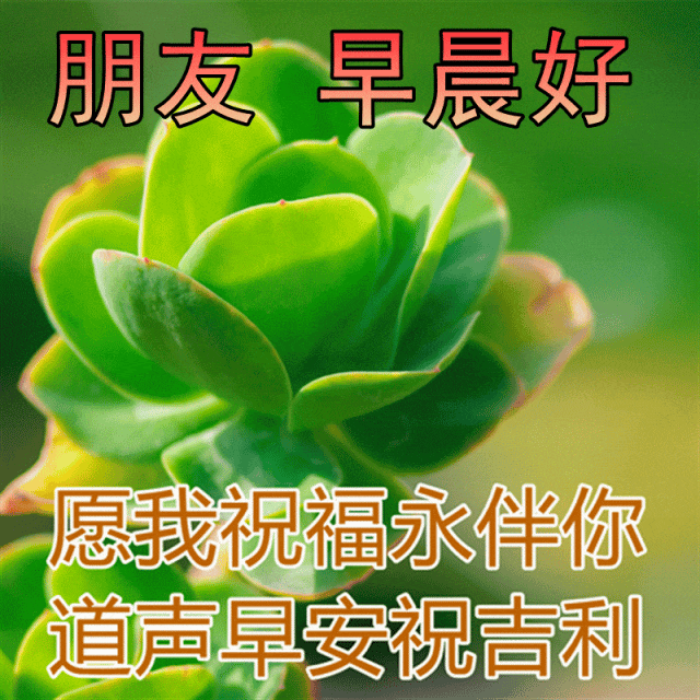清晨自带治愈滤镜放下昨日所有烦恼与遗憾不慌不忙，稳步生长所有美好与好运，正
