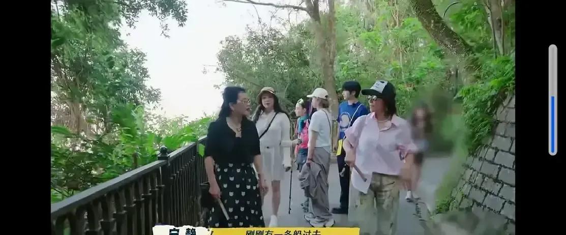 刘嘉玲在节目里随口一句，说周星驰还一个人住在香港山顶那套老宅，镜头扫过去，房子亮