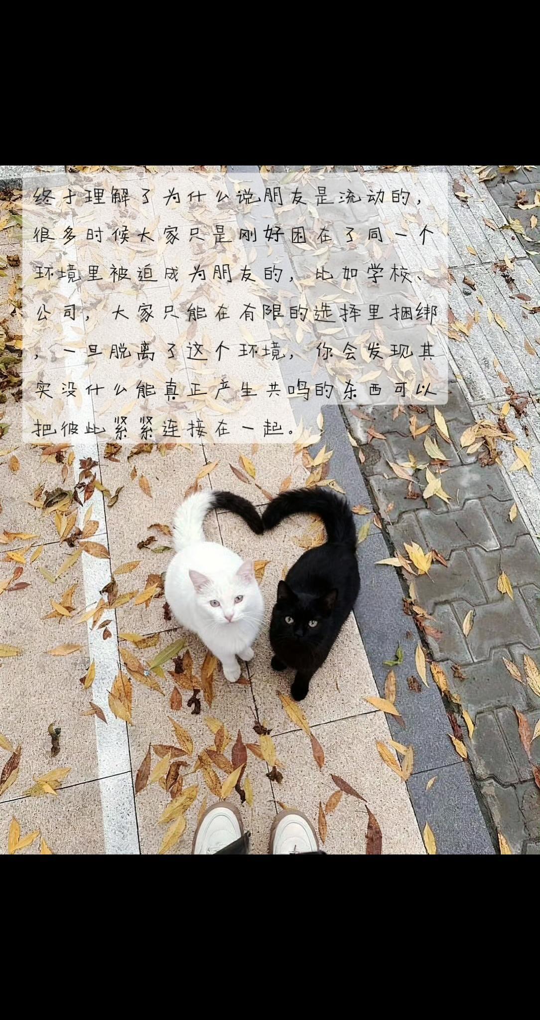 终于理解了为什么说朋友是流动的，很多时候大家只是刚好困在了同一个环境里被迫成为朋