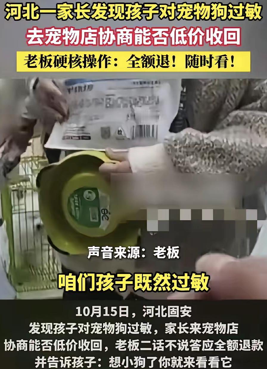 这位老板做得挺少见的。河北一位家长在宠物店买了小狗，发现孩子过敏。回去找老板