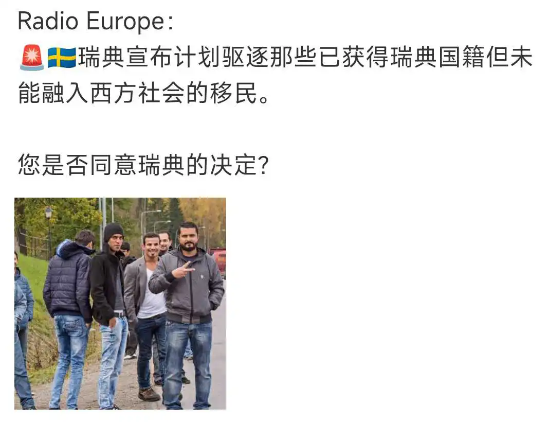 瑞典宣布：驱逐未融入社会的西方移民！