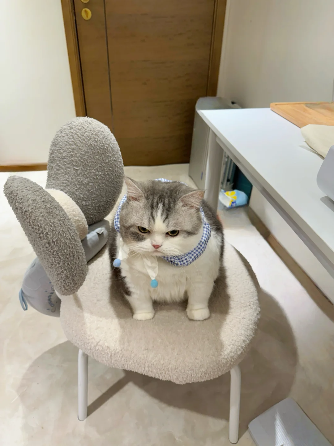 忘放饭就这幅表情