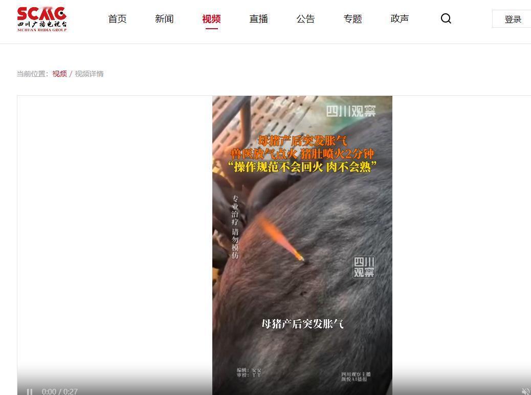 5月2日四川观察报道的一则视频，让网友直呼“开眼了”！贵州安顺养猪户老张