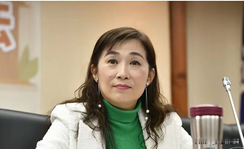 绿委拟修改“两岸关系条例”叫嚣“两岸分属两国”绿委这次玩得真大，直接就想