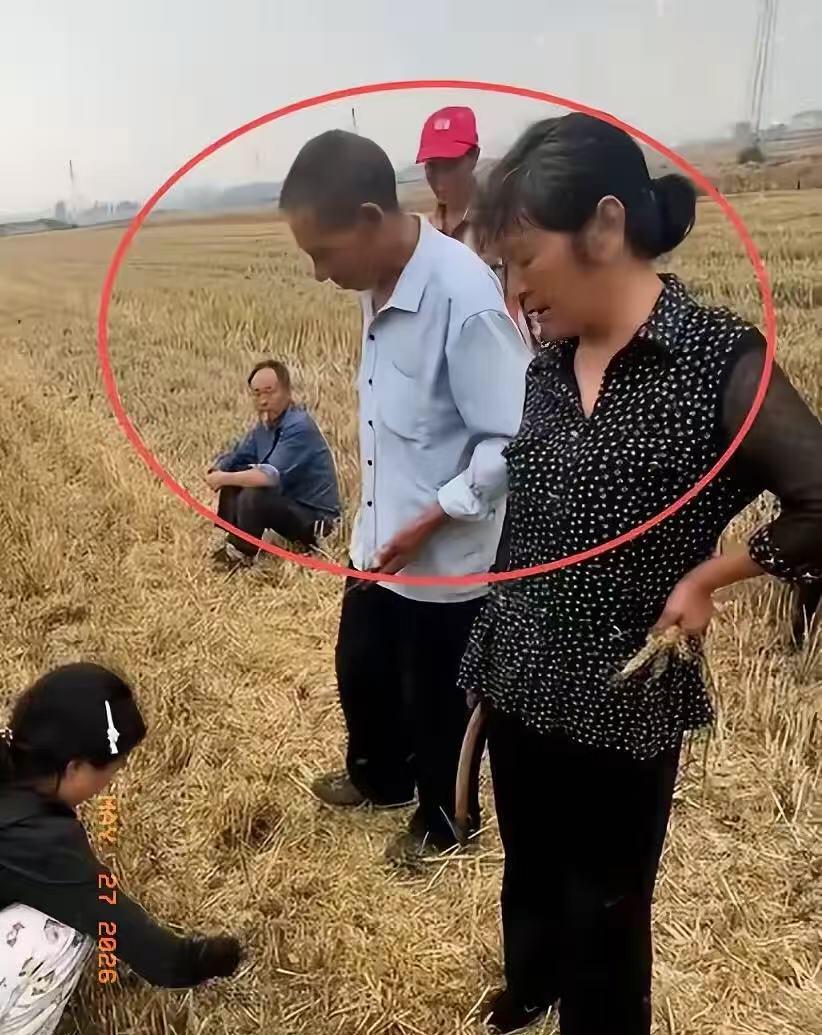 作为湖北人，我得说句公道话，这位大娘的子女你们自己看着办！农机师傅好心优