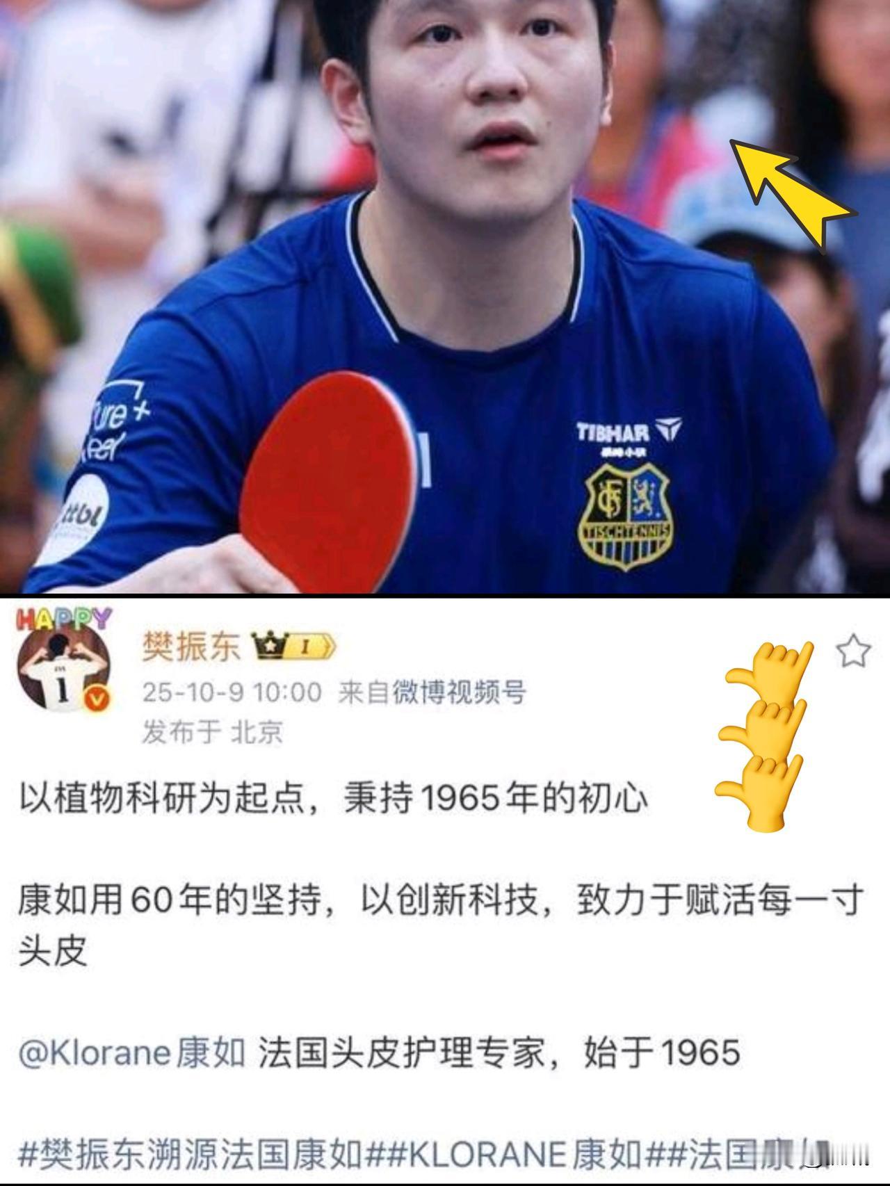 樊振东回北京了！看到这条消息时，我的心情突然变得复杂——明明盼着他回来，可那