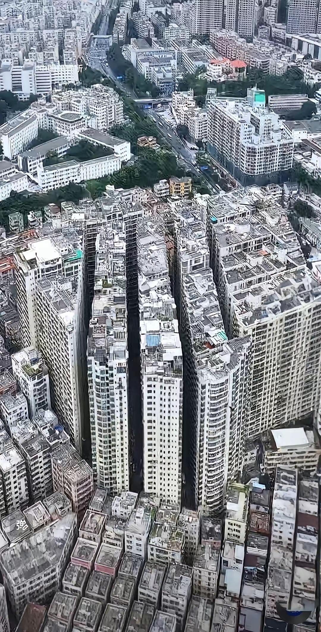 寸土寸金的深圳“水泥森林”密得让人窒息，经济高速发展时期甚至一下子聚集了数百万打