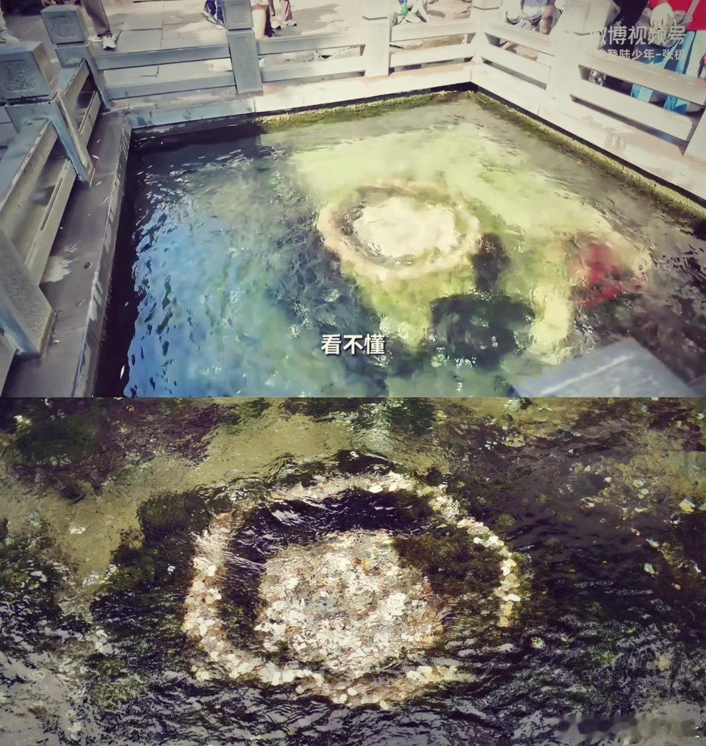 🧡🧡🧡#张极##张极#​