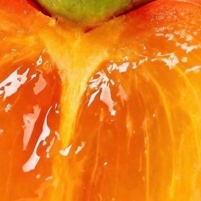 柿子种植方法最佳繁殖时间：嫁接一般在春季3-4月，秋季8月中旬-9月下旬进行；播