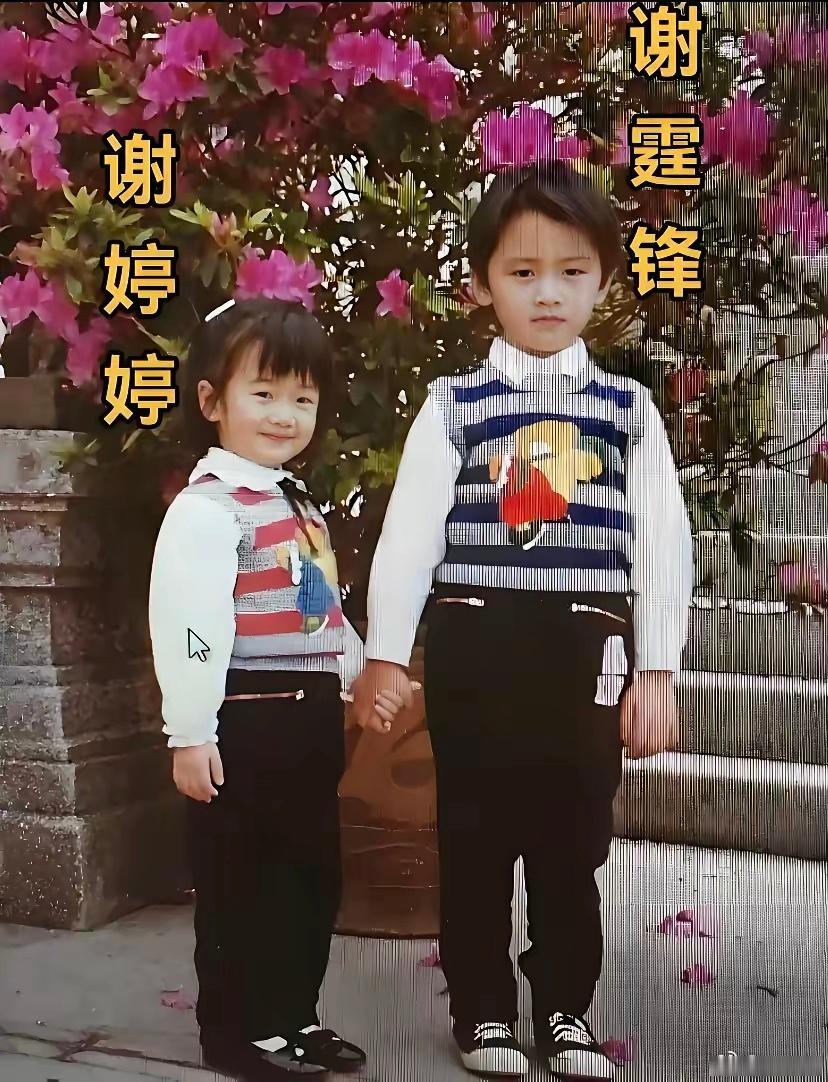这是谢霆锋和谢婷婷小时候的合照，从这张合照就能看出，基因这玩意真是一门玄学！