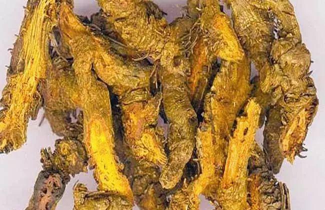 全村人突然满口生疮！不起眼野草竟成救命药？暴雨过后，青石村数十人接连患上怪