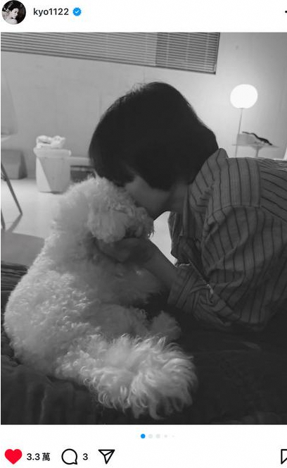 宋慧乔回国后第一时间与爱犬互动，温馨场景曝光！