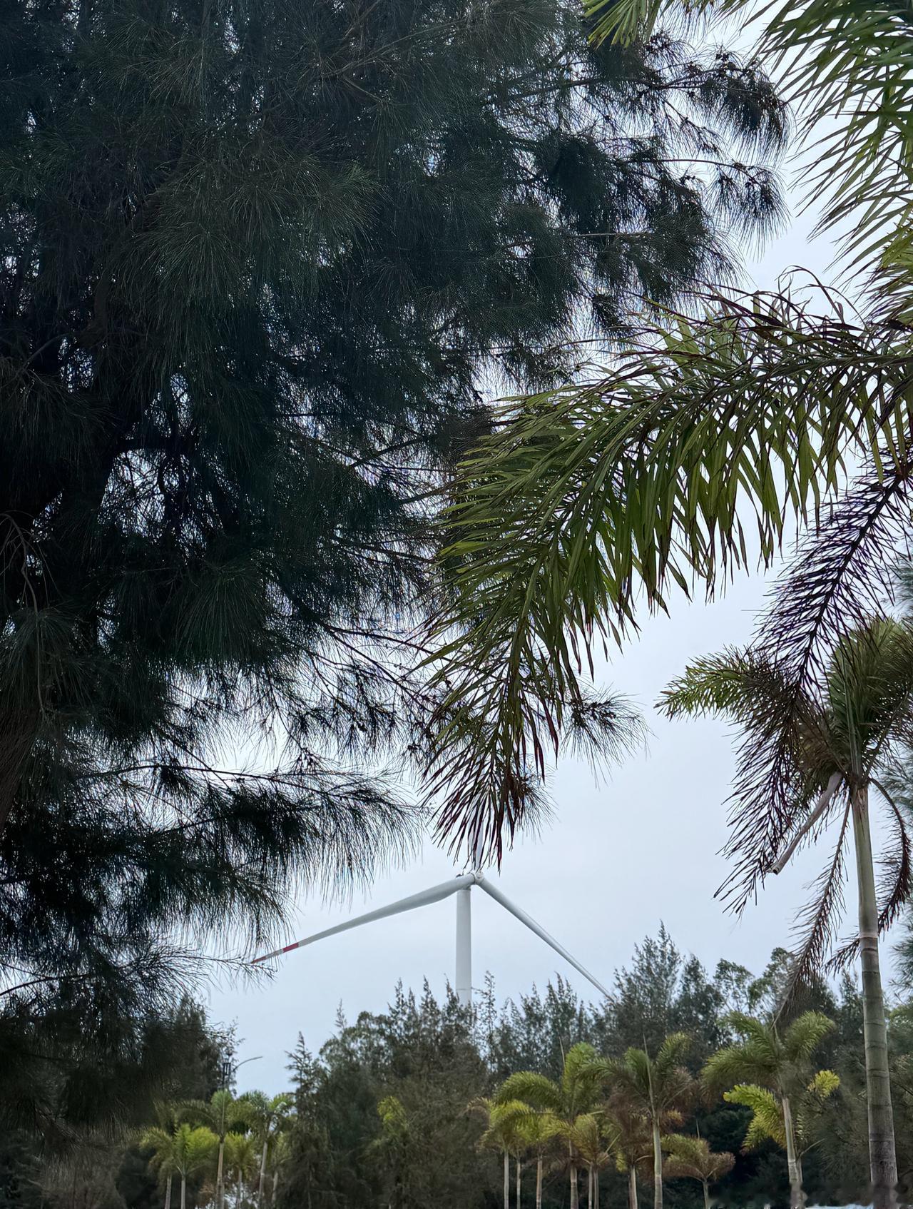 浅水湾.风车岛，驱车经五公里的跨海公路超级过瘾。不是桥，北侧海水混浊，南侧则比较