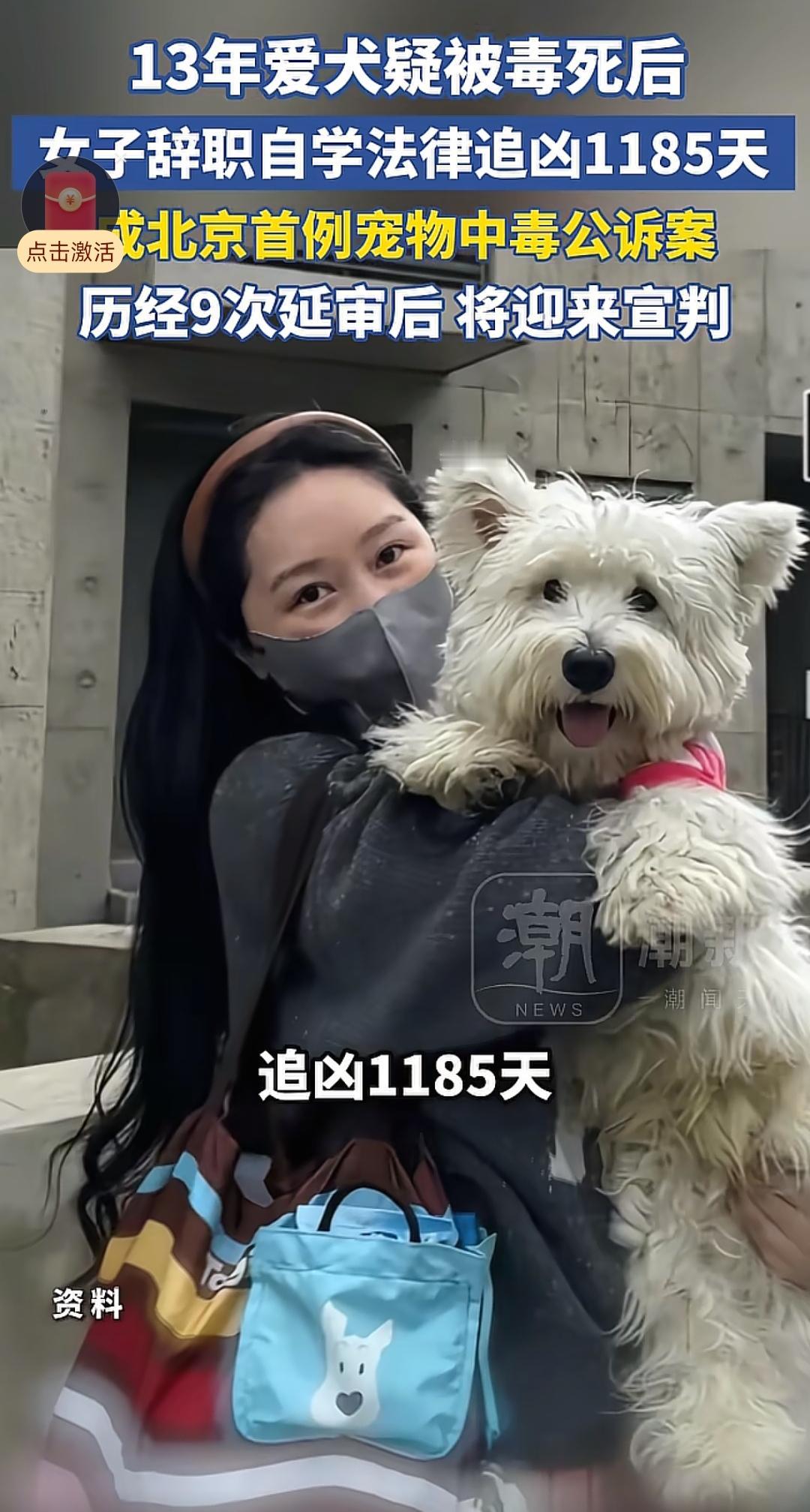 北京一女子陪伴了12年的狗被同小区65岁老人投毒，不幸身亡，同时期共有11只宠物