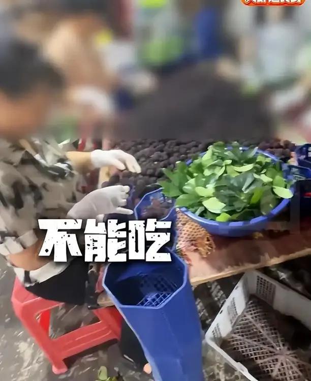 果然是外来的和尚会念经：外地记者一查就能发现黑心商贩，当地监管却对不法商贩钻空子