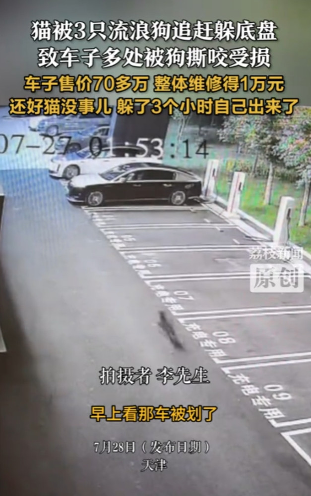 “太倒霉了！”7月27日，天津，一男子早起发现70万元的车被划，整体维修得1万元