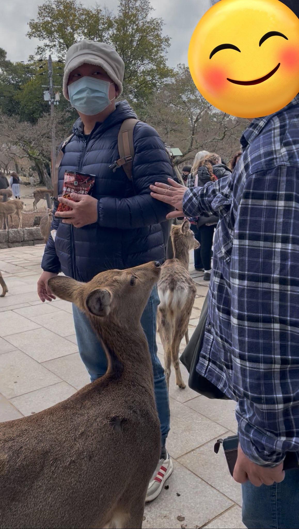 有盗窃前科的日本奈良市议员原田将太，长期在奈良公园碰瓷、造谣中国游客“虐鹿”。昨