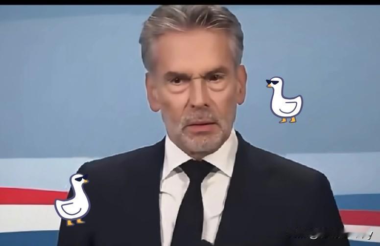 荷兰陷入困境谈判半导体限制背后:欧洲企业损失扩大,ASML营收下降荷兰经济