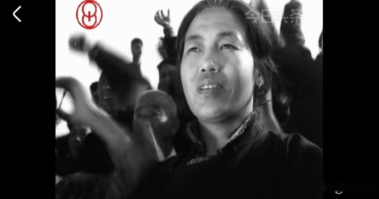 胶东半岛的王官庄，黄土地上长不出娇艳的牡丹，漫山遍野全是苦菜花。农妇冯大娘，大半