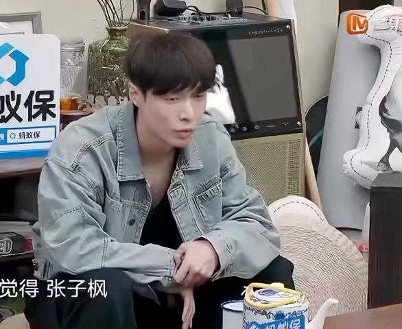 向往的生活下一季应该会交接给这群年轻人去当主角啦！看得出张艺兴挺有想法的，一说到