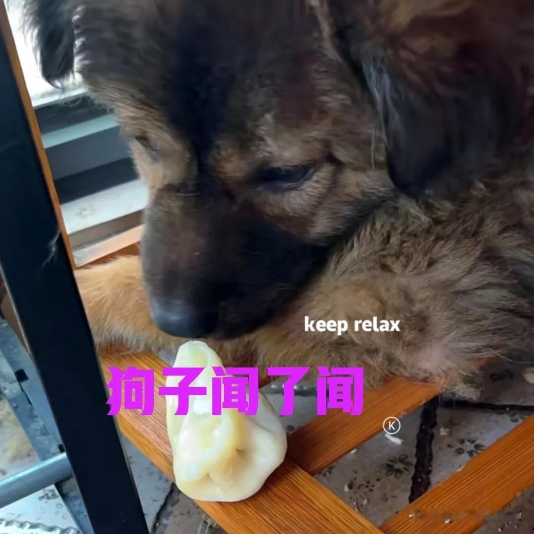 早上在楼下的包子铺买了两笼蒸饺，打包了一盒稀饭。饺子是白菜猪肉馅的，稀饭里面加了
