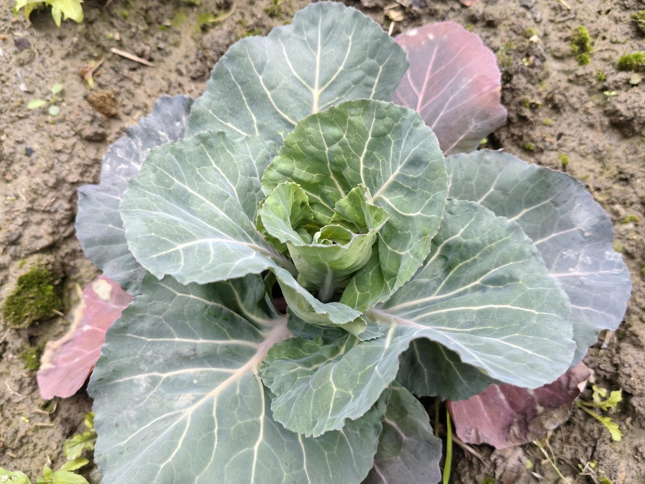 江西女孩子确实为难。她们在其他省市根本不敢说自己是江西的。相当于不敢追求自己的幸