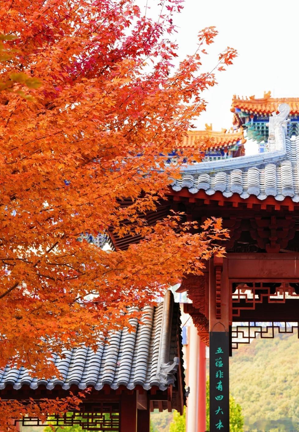 五代最牛长寿权臣胡进思，比朱温小6岁，却从唐末活到五代后期，比朱温多活了37岁，