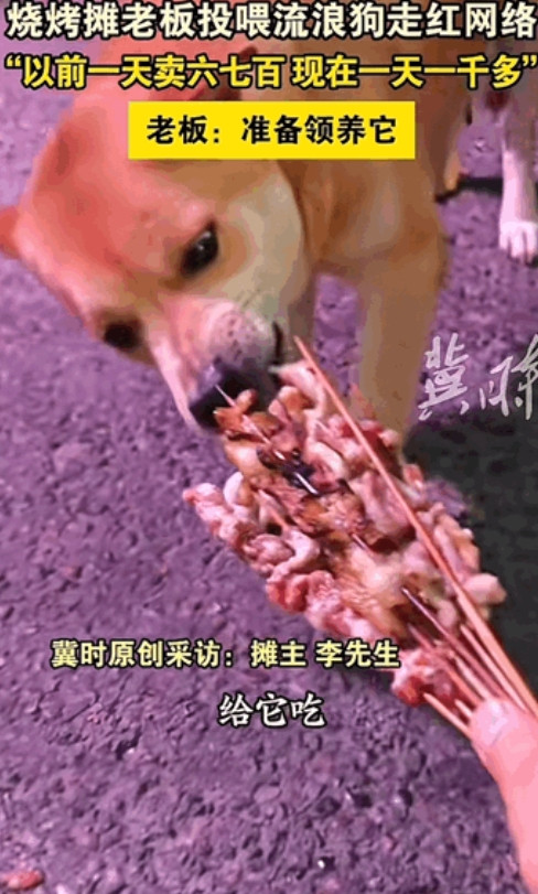 第一次见凭乖本事吃饭！”重庆，一烧烤店老板看到流浪狗比较乖天天投喂它，其实这边有