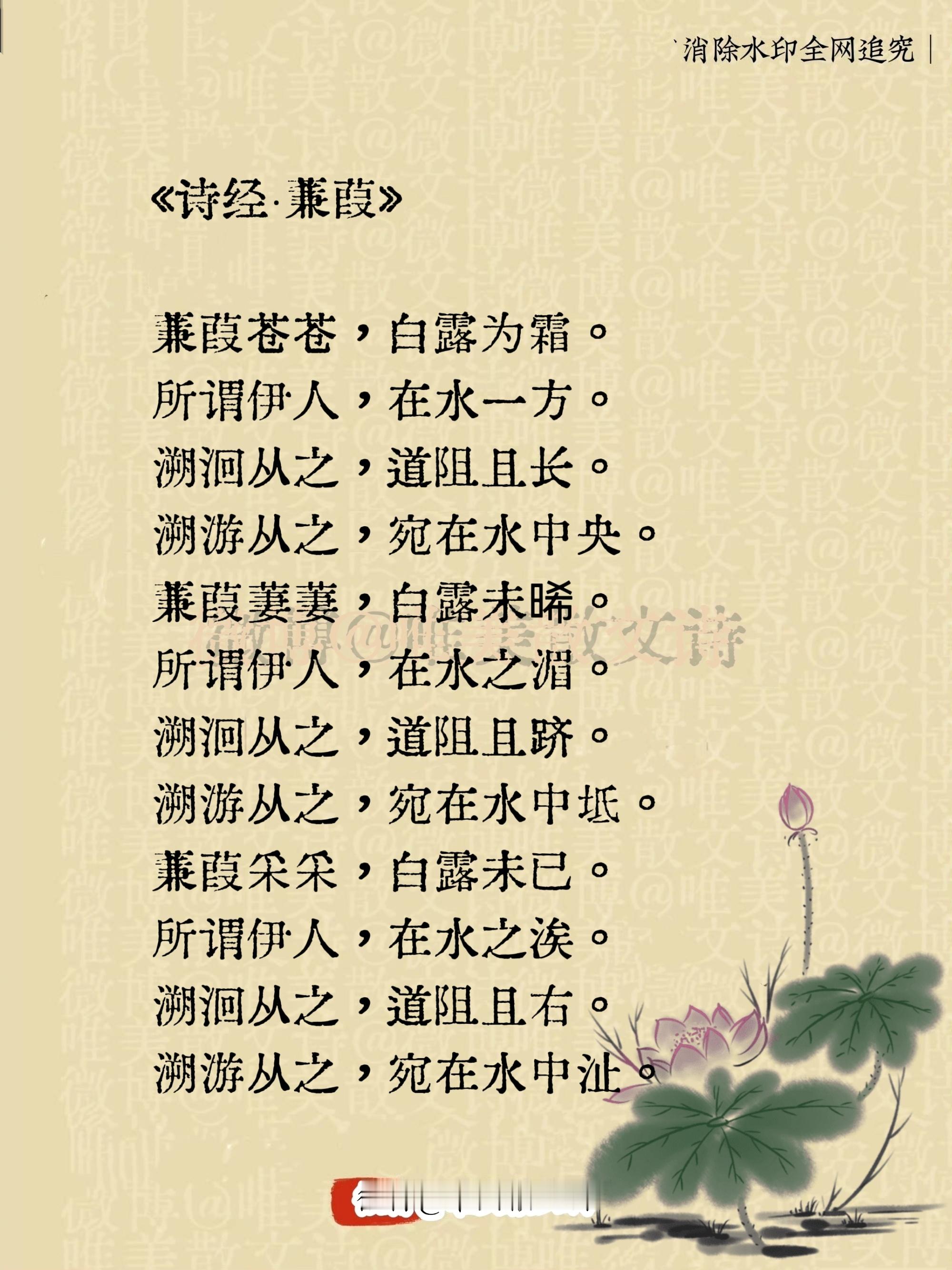 “诗经·蒹葭。”蒹葭苍苍，白露为霜。所谓伊人，在水一方。溯洄从之，道阻且长。溯游