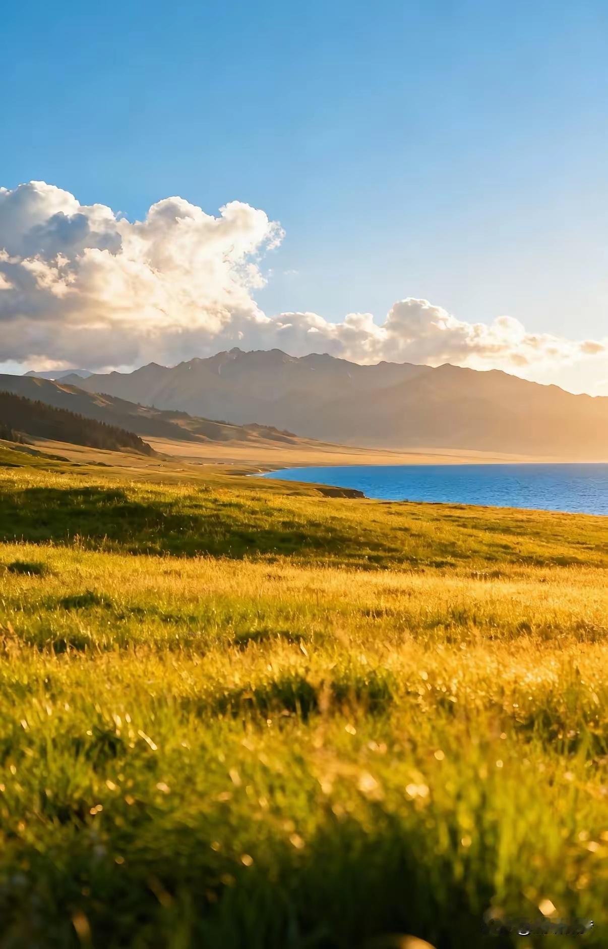 最好的养生不是进补，不是睡觉核心就一个字：“少”​少欲，心就安。减少无用