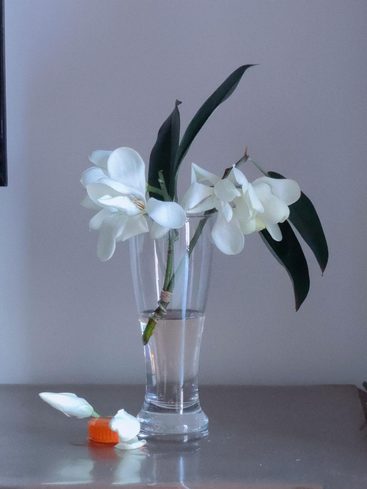 静物摄影爱拍照爱生活