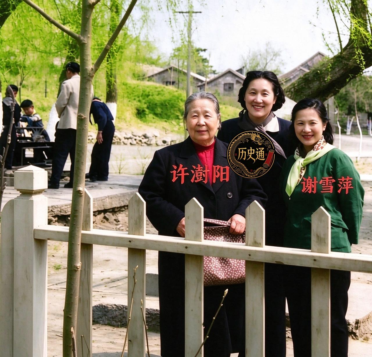 张作霖的六房夫人，大多湮没在民国的烟尘里。唯独四夫人许澍阳，一九七八年逝于北京，