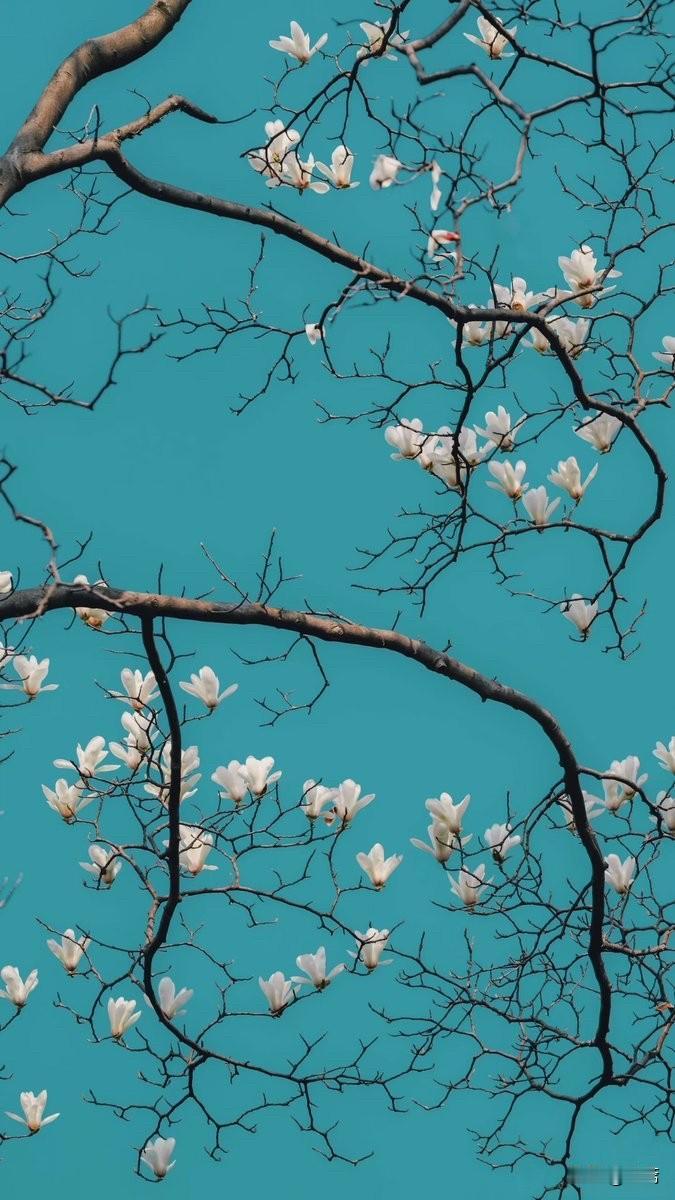 长寿的10个好习惯：第一个：梳头就是通经络第二个：抓握就是防痴呆第三个：