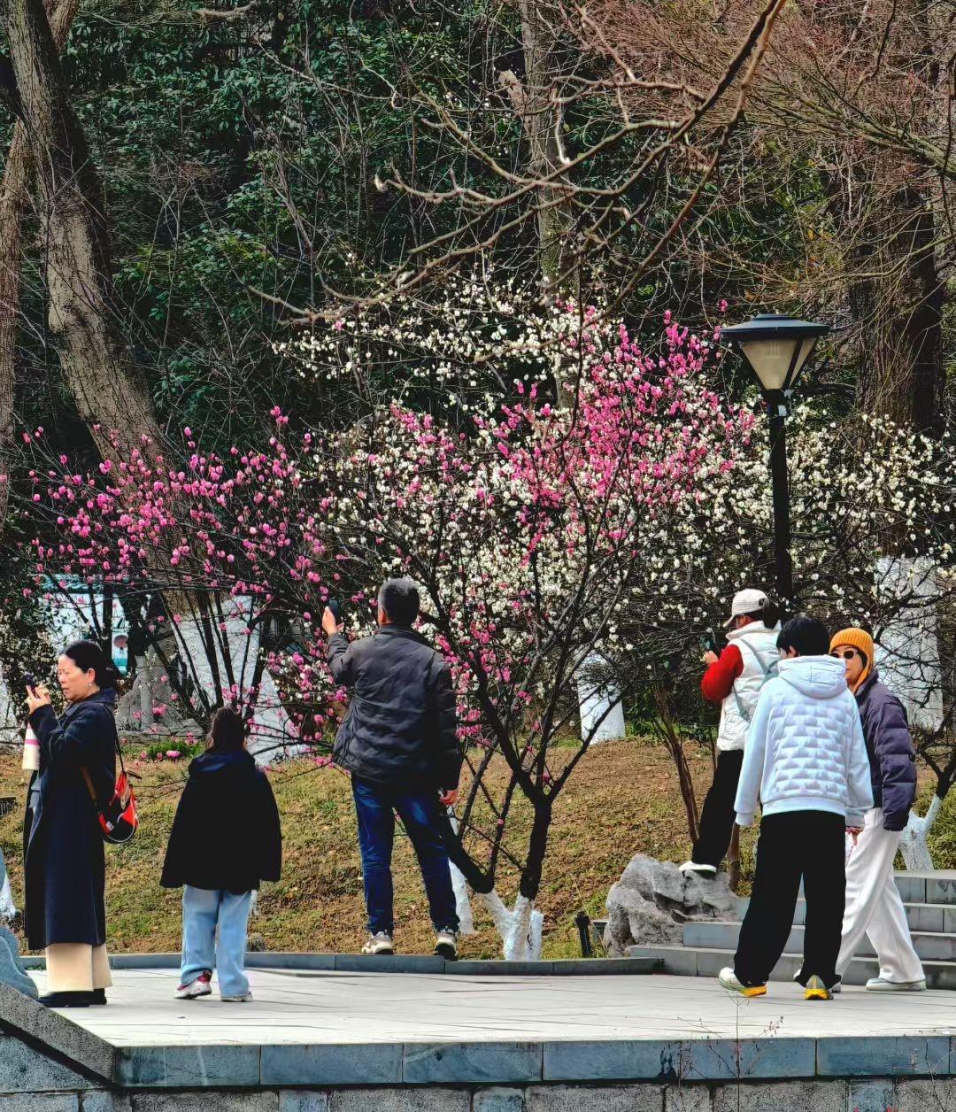 承认自己普通，才是日子最踏实的开始我们这代人，从小听着“出人头地”“与众不