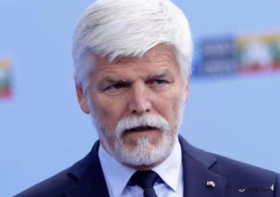 曾经跳最高的捷克，突然认一个中国！反华阵营脸都肿了你敢信？曾经反华最跳的捷