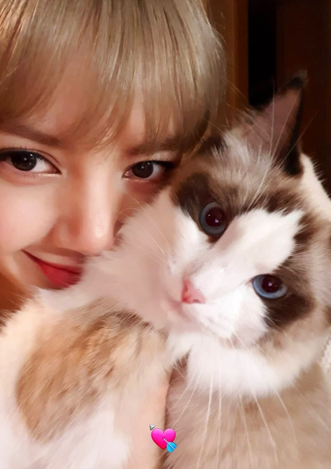 想跟你漫游在温馨的定格里🐱LISA​​​