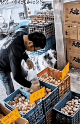 日子真难到这份上了？一个男人，正大光明地走进商店，挑了一大袋鸡蛋，跟寻常顾客没两