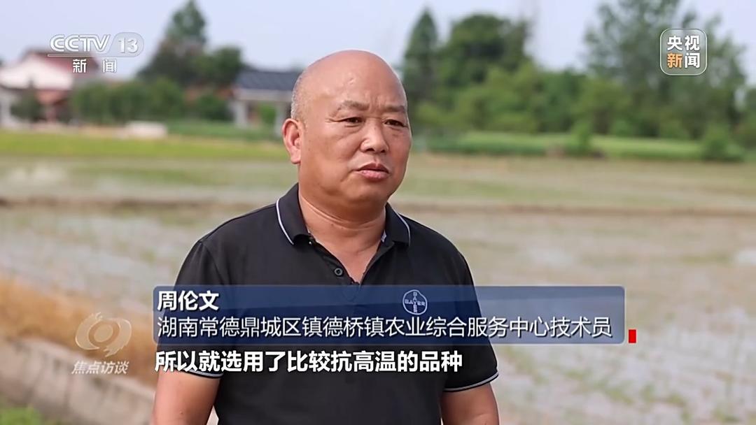 良田+良种+良机+良法, 来看山东保丰收秘籍
