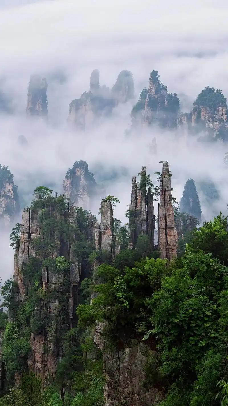 上联：风过千山寻旧梦我对下联下联：雨打万树发新枝