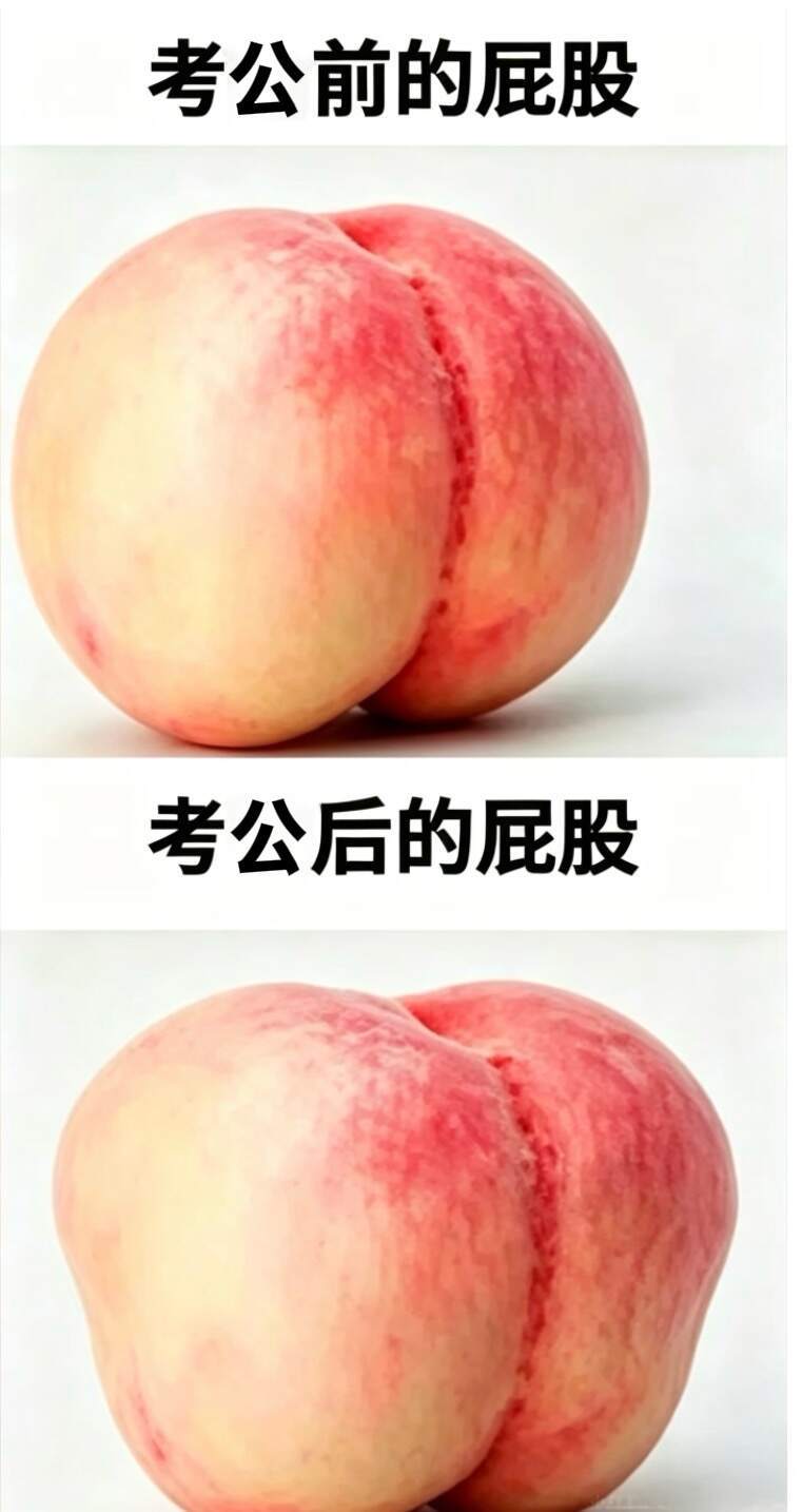 27国考必看：公考前后的屁股​
