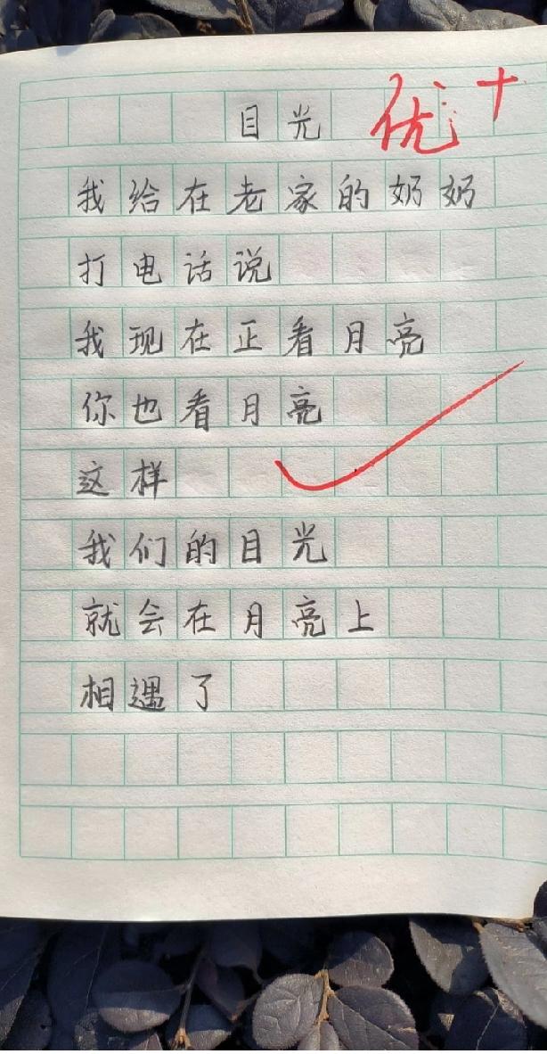破防了！江苏小学生写的《目光》火了，月光下的思念看哭无数人