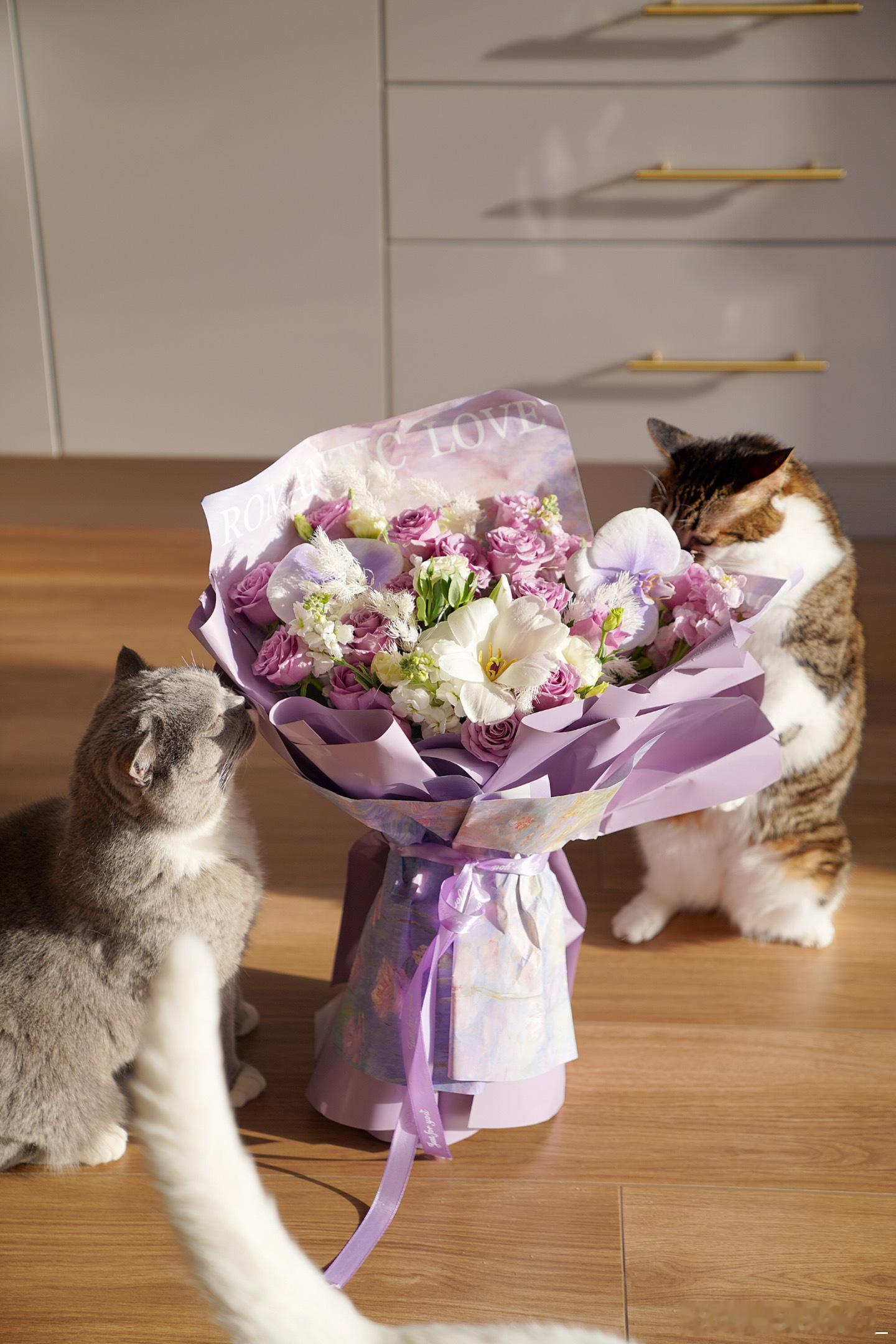 和猫咪一起的周末，收到朋友寄来的礼物们，好开心