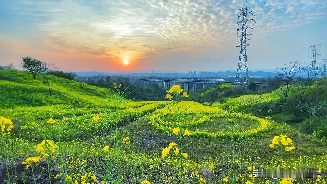 邂逅油菜花高铁夕阳同框，让诗和远方不再遥远！在江北区三板溪公园穿过高铁的对面山