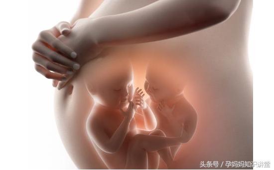 前三个月生男生女征兆