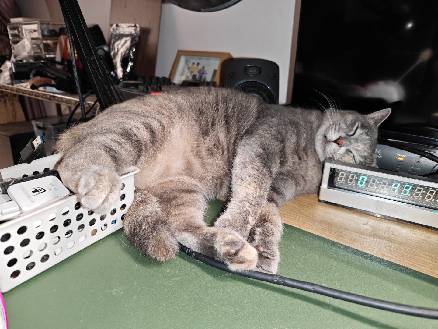 这狗猫。迟早把我那一篮东西给踢下去​​​