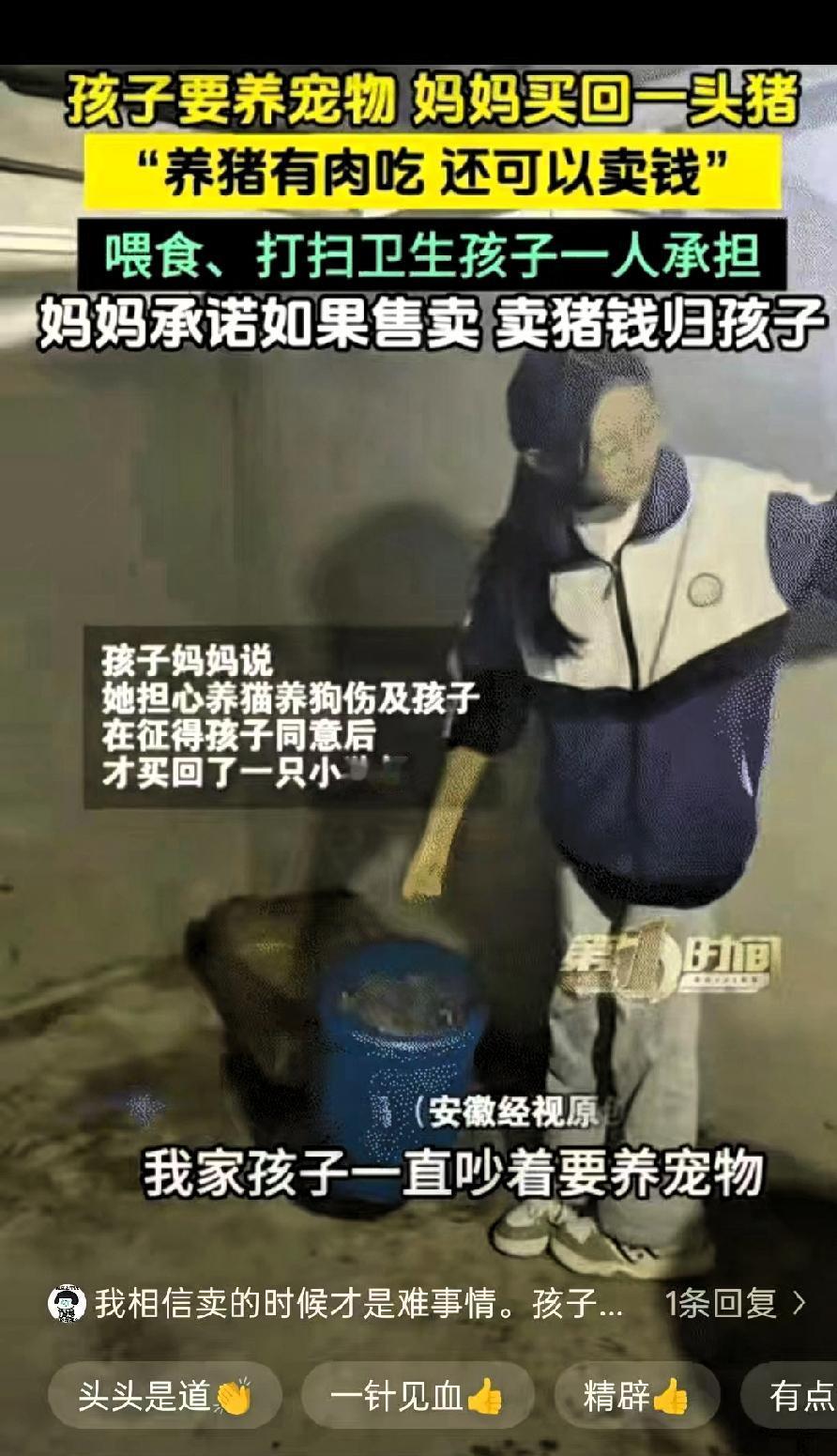 太有意思了！贵州平塘，一小女孩天天缠着妈妈，哭着闹着想要养宠物，妈妈考虑到猫狗可