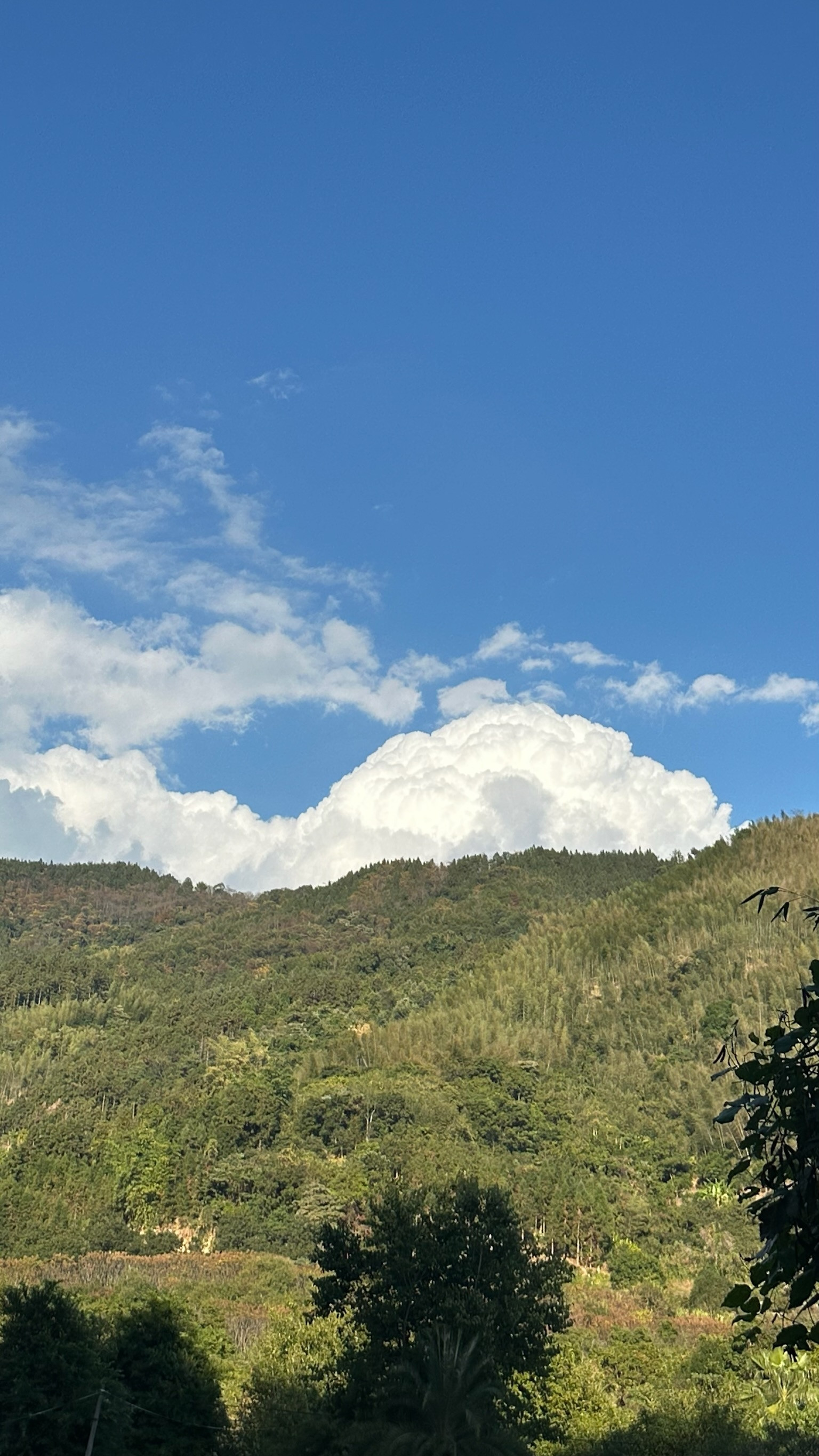 徒步只有0次和无数次心血来潮和朋友一起去徒步不敢去鳌太线就近选择了一个森林公园爱