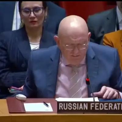 联合国安理会未能通过俄罗斯中东决议我方表示失望！我常驻联合国代表在投票结果公布