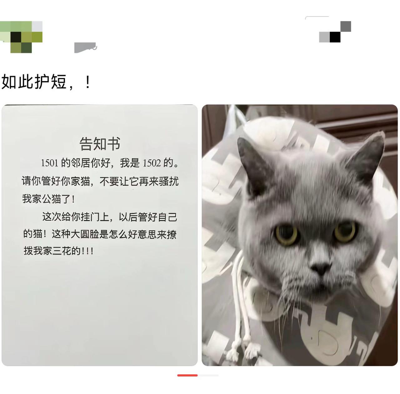 这瓜吃得我笑出声了。