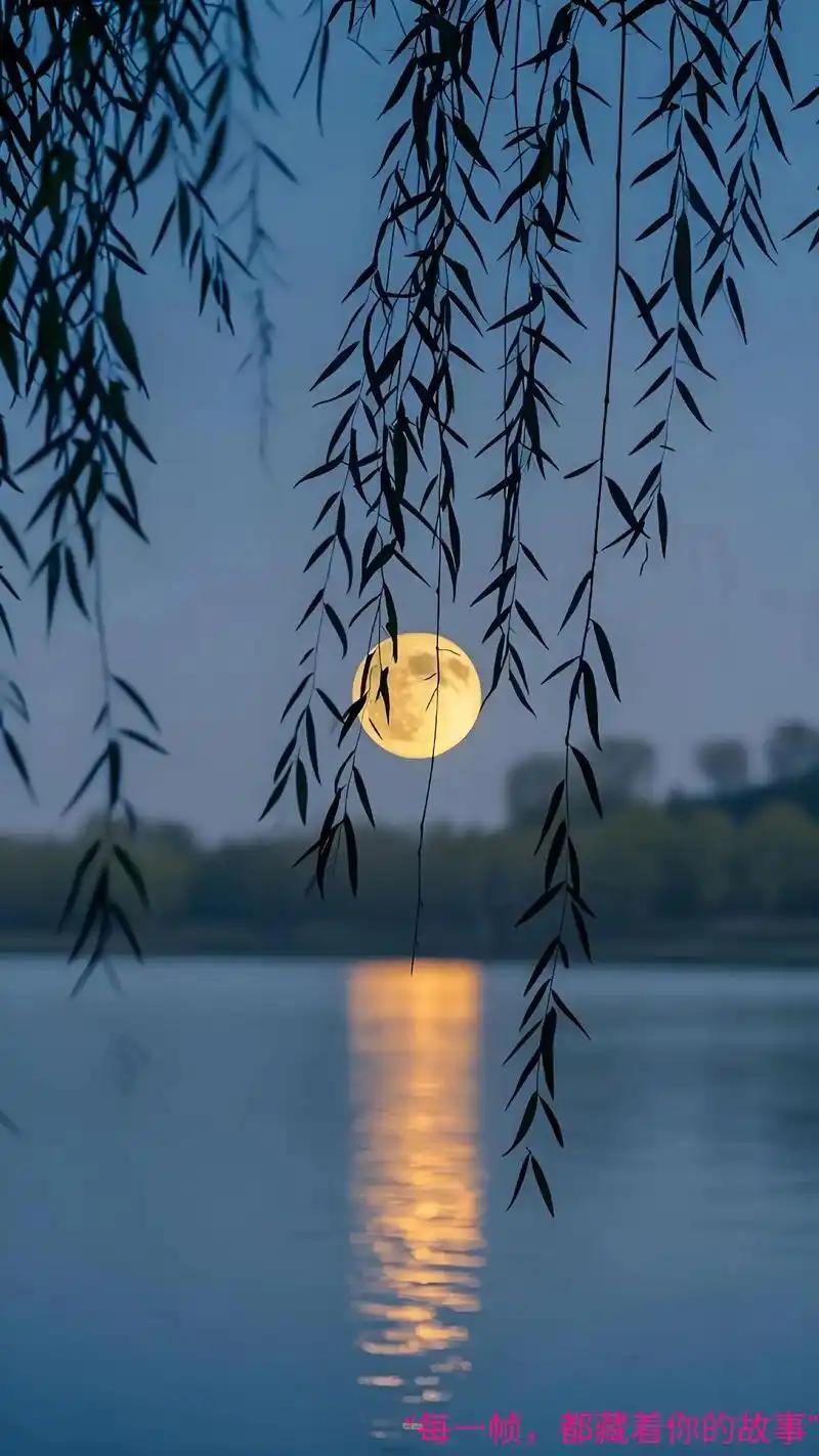 下联：柳拂月色柔。（图片来自网络）